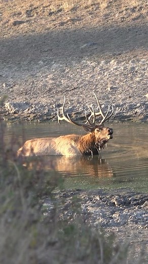 This sounds just hits different! | RAISED HUNTING