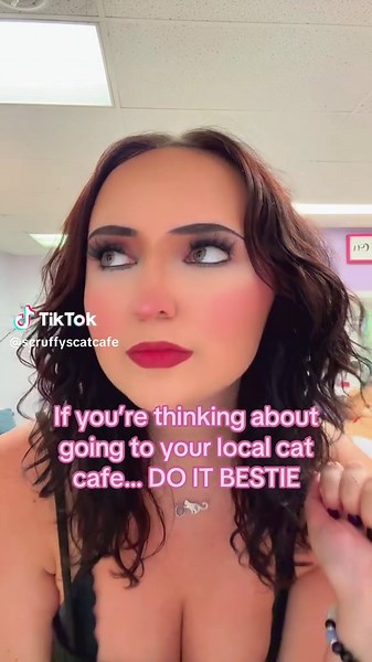 Visitez Scruffy's Café : Un Paradis pour les Amateurs de Chats