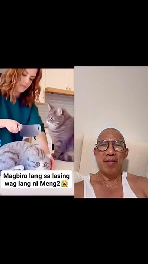 #angrycat #prankgoeswrong #followersreelsfypシ゚viralシfypシ゚viralシ #fbreels2025ツ #EnjoyLifeEveryMoment | Junjun Llanes