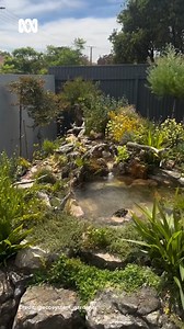 72K views · 918 reactions | 'Even in the tiniest of spaces, magic can bloom. By weaving together running water with native and endemic plants, you create a sanctuary that hums with life.' - @ecosystem_gardener Did you catch this full story on Gardening Australia? Head to Series 35, Episode 12! #ABCMyGarden #GardeningAustralia | Gardening Australia | Facebook