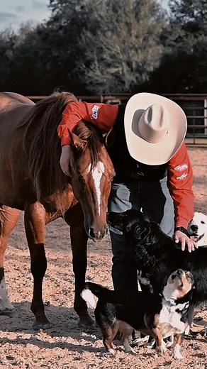 🪩 Bentley 🪩 heading to the @Southern Belle Classic with Patriot on Monday. These two horses are so exceptional, it’s been a treat having them through our program. #DiamondKHorses #SouthernBelleClassic