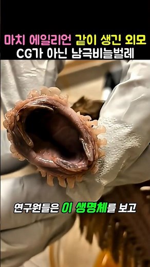 실제로 존재하는 심해의 괴생명체 (CG아님)