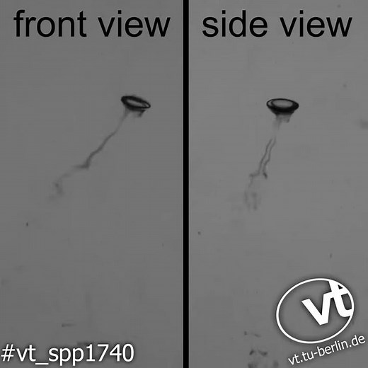 Mass transfer from a bubble into a liquid phase with coloration reaction