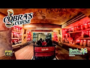 Cobra's Curse Roller Coaster On Ride 4K POV with Queue Busch Gardens Tampa 2022 01 01