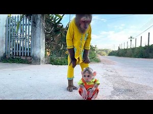Too Sweet! CUTIS Spoils BUEM in the Cutest Way Ever
