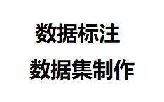 深度学习数据标注(告别labelme和labelimg)