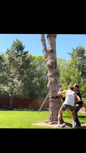 2.1K views · 32 reactions | Tree falling #freefalling | Heidi Hatch | Facebook