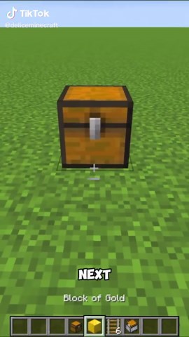 How To Squeeze Into A Double Chest 💯 If you like this video then smash that Like button! - - - #minecraftmemes #minecraftbuilds #minecraftsurvival #minecrafttutorial #deliceminecraft