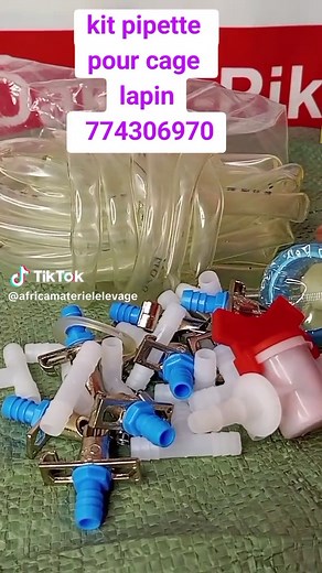 Abreuvoir Automatique et Pipettes pour Lapins à Pikine