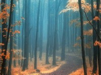 Hindi Poems | Hindi Kavita | Hindi Poetry | Poems In Hindi | कविताएँ | हिन्दी कविताएँ