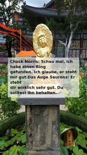 "Chuck Norris und das Ring-Dilemma! 😂🤣 Witz des Tages"
