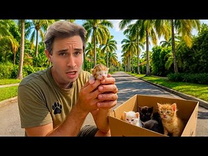 I FOUND 6 KITTENS Abandoned In The STREET!