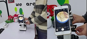 BNISE Microscope 100x-2000x Top Bottom LED Illumination Light Achromatic Objective Lens Six Colour Fliter Manual Phone Holder