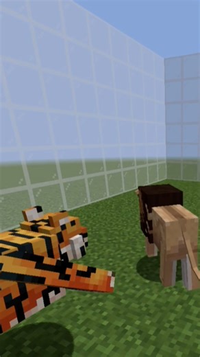 Minecraft Tiger VS Lion