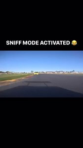 30K views · 52K reactions | Who knew Integra’s had sniff mode藍 Via: @onlywheelsfamily #hday #honda #acura #dragracing #ogs1320 #carshow #integra #acuranation #acuraintegra #hondanation #hondacivic #civic #hday2025 #hday25 #integratyper #racing #roadcourse | HDAY | Facebook