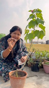 Use One tablet and get flowers for 2 months - comment for links #trendingreels #PlantBased #gardening | Pro_planting