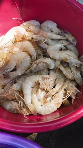 இன்னைக்கு என்ன மீன்கள்#viral #trending #youtubeshorts #fish #cooking #tamil #best