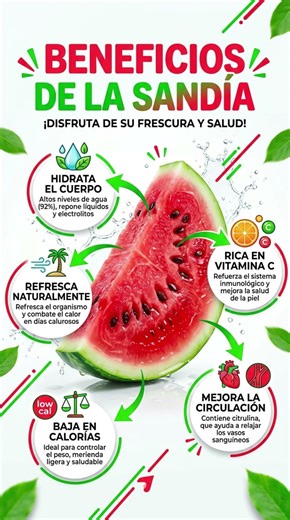 BENEFICIOS DE LA SANDIA