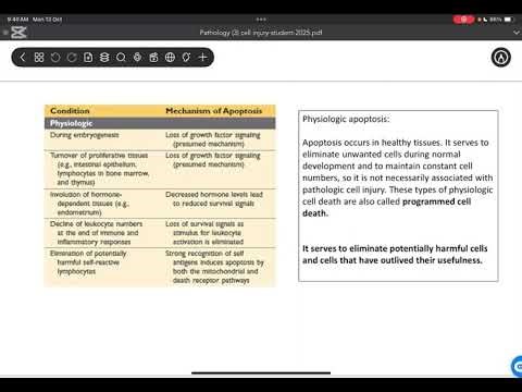 Pathology: Lecture 3