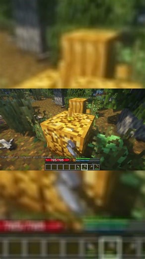 отрезок видео #minecraft #майнкрафт #terrafirma #terrafirmacraft