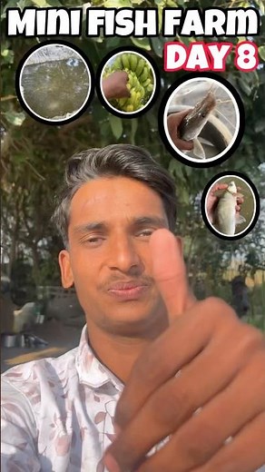 Mini vlog day 8 #minivlog #vlog