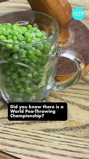 513K views · 2.4K reactions | Welcome to the World Pea-Throwing Championships The World Pea-Throwing Championship took place in Lewes in East Sussex, southern England on Saturday, Aug. 20. Contestants throw two peas each down the road opposite the pub. The winner is the veg-chucking athlete whose pea travels the furthest. #CGTNAmerica | CGTN | Facebook