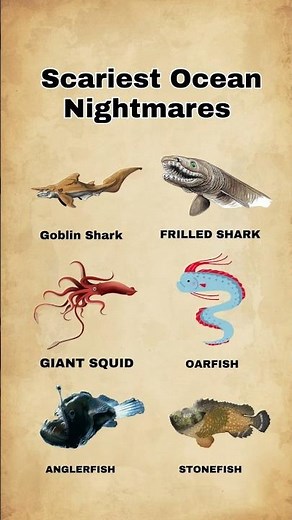 Scariest Ocean Nightmares 🌊😱 | Goblin Shark & Giant Squid Part 2 | Lorethra