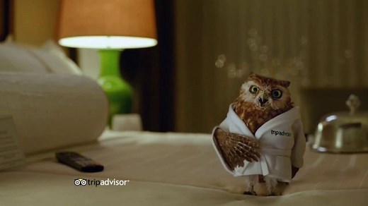 TripAdvisor TV Spot, 'This Bird's Words'