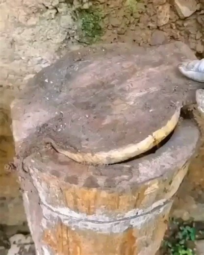 En Doğalından Ve Safından Bitlisin Yüksek Yaylalarından sofralarınıza. Whatsapp : 0536 204 53 13 Web : https://www.bitlis-bali.com Karakovan Petek Balı ve Süzme Balı Rakım : 2500 Tür : Karakovan Çiçek Balı Geven Kekik Balı ✅ Ürünlerimizde Suni Mum Yoktur Peteğiyle Birlikte Yenir. ✅ Ticari Glikoz Oranı Sıfırdır ✅ Ailenizde 1.5 yaşından büyük herkesin rahatlıkla tüketilmesi gereken en iyi antibiyoriktir. ✅ Çevresinde Tarım arazisi yoktur Ürünlerimiz Kimyasaldan uzak üretilmektedir. ✅ Çevresinde Or