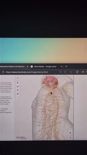 Websiten die du kennen solltest (Teil 80)