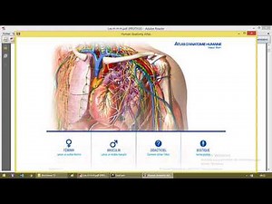 Hormones hypothalamiques hypophysaires 1