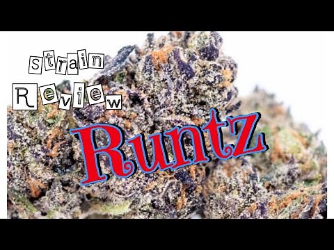Strain Review | Runtz