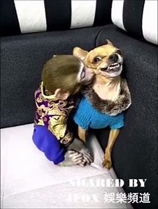 47K views · 513 reactions | Creative Videos on Reels | Facebook