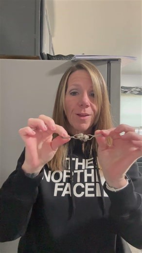 Swivel Magnets with Hooks Review | Organize and Declutter with Ease! #magnet #hooks #organization