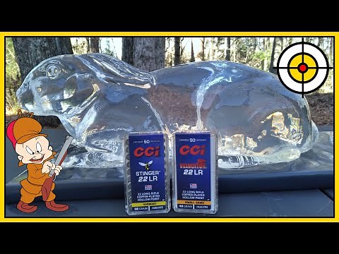 🐰Jelly Rabbit Hunting!🐰 CCI Stinger vs CCI Velocitor, Ballistic Gel Rabbit Test!