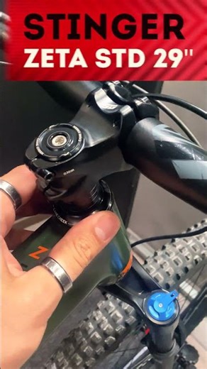 Горный велосипед Stinger Zeta STD 29'' | Доступный велосипед для покорения любых трейловых трасс
