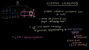 Chronic leukemia