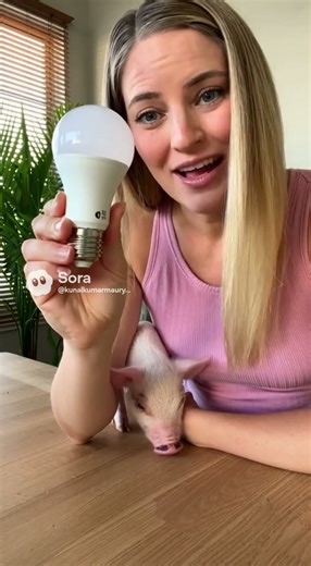 LED Rechargeable Bulbs: Should You Buy Them? Are They Really Worth It? Pros & Cons Explained