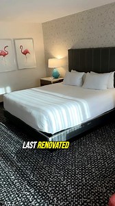 Starting at around $75/nt after fees, Flamingo's "Flamingo Room" has a ton of potential... If they find a broom and touch up paint. #flamingolasvegas #vegas #lasvegas | Las Vegas Then and Now