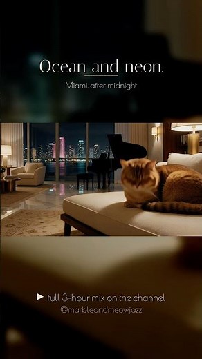 Miami neon nights 🌴 Cozy Cat Jazz for Sleep #shorts