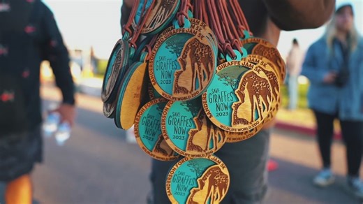 'Giraffe Jam' at Wildlife World on Nov. 1