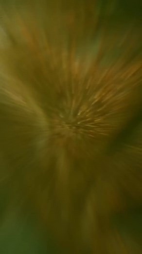 245K views · 6.2K reactions | The Hulk Scene That Marvel Didn t Want You to See! | Fact Fusion | Facebook