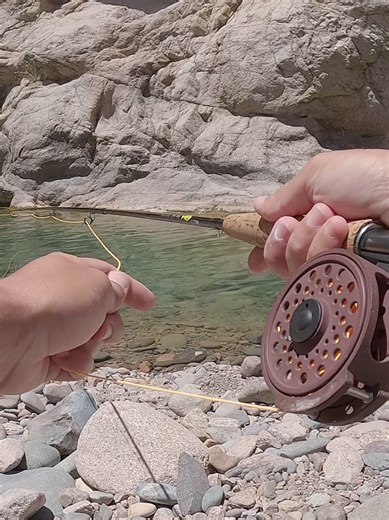 Técnicas de pesca con mosca: Captura a la trucha