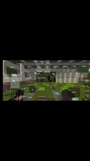 I Built the BEST Kelp Farm on Donut SMP