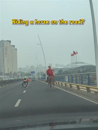 Riding a horse on the road?#funny #amazing #cute