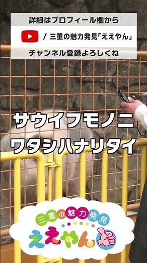 【穴場】 雨の日の動物園の楽しみ方【大紀町】#動物園 #雨の日 #ライオン #大内山動物園 #リニューアル #三重県 #大紀町 #ええやん