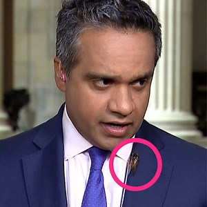 26K views · 55 reactions | CNN’s Manu Raju had a surprise visitor pop in before a live shot at the U.S. Capitol this week: a cicada! Washington, D.C. is infested with Brood X cicadas lately. The big bugs pop up every 17 years, and 2021 is turning into hot cicada summer. We would absolutely have to burn our clothes if this happened to us. | cheddar news | Facebook