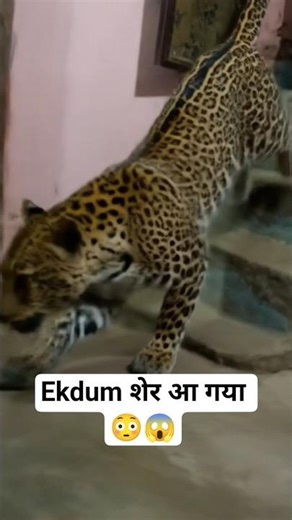 #babifreitas cosplay