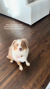 plain dry rocks is not gonna cut it | Oats the Aussie