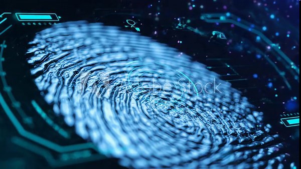 Close-up digital fingerprint texture for biometric security, scanning and identity verification concepts